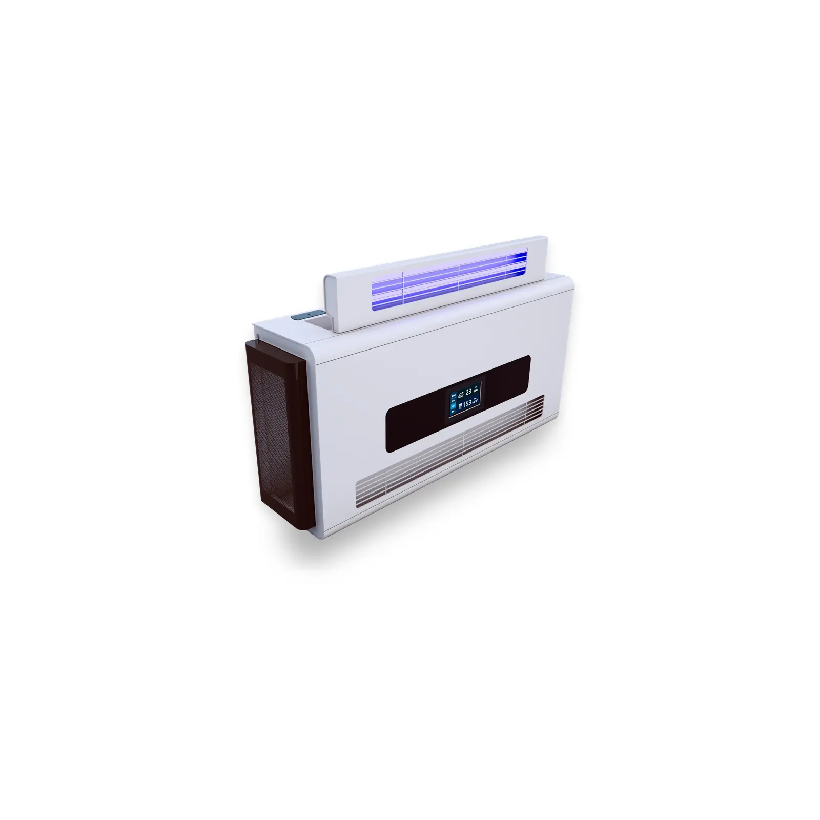 Archive mold purification machine for preservation support
