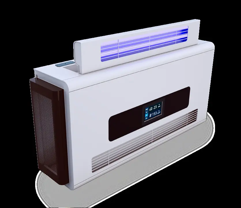 Archive mold purification machine